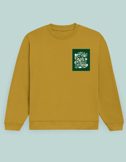 Front_1_c_43.jpg